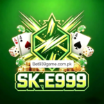 E999 Game